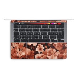 Foils for Laptops glossy