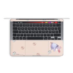 Foils for Laptops matt