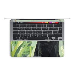 Foils for Laptops matt