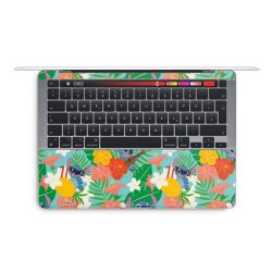 Foils for Laptops matt