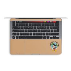 Foils for Laptops matt