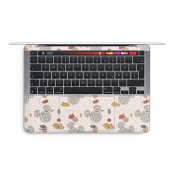 Foils for Laptops matt