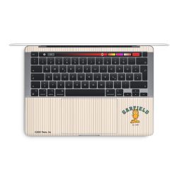 Foils for Laptops matt