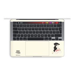 Foils for Laptops matt