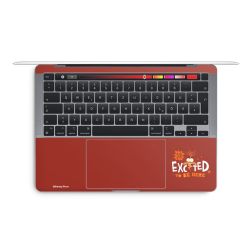 Foils for Laptops matt