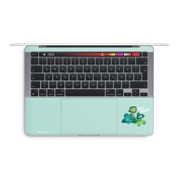 Foils for Laptops matt