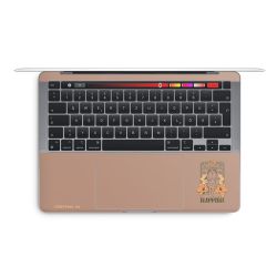 Foils for Laptops matt