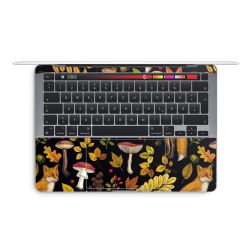 Foils for Laptops matt