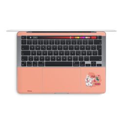 Foils for Laptops matt