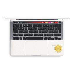 Foils for Laptops matt