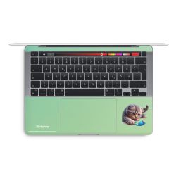 Foils for Laptops matt