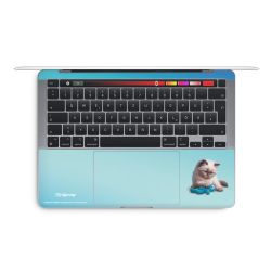 Foils for Laptops matt
