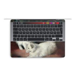 Foils for Laptops matt