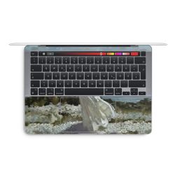 Foils for Laptops matt