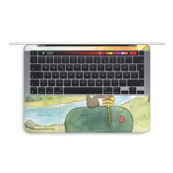Foils for Laptops matt