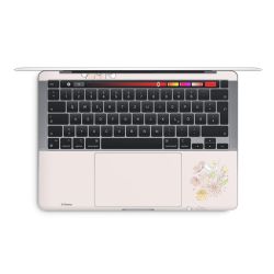 Foils for Laptops matt