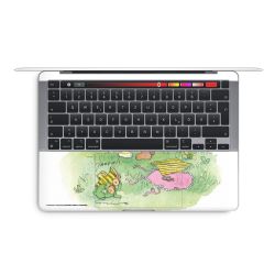 Foils for Laptops matt