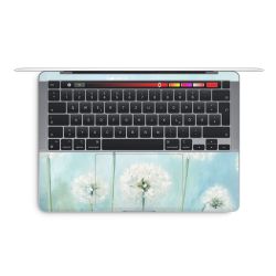 Foils for Laptops matt