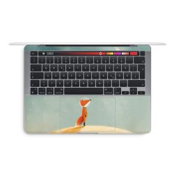 Foils for Laptops matt