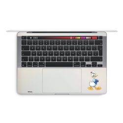 Foils for Laptops matt