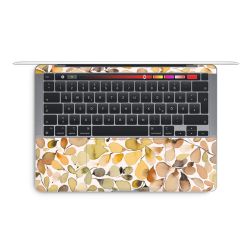 Foils for Laptops matt