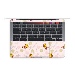 Foils for Laptops matt