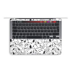 Foils for Laptops matt