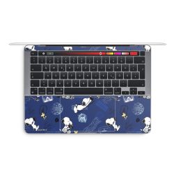 Foils for Laptops matt