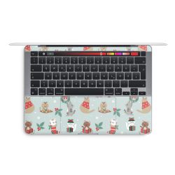 Foils for Laptops matt