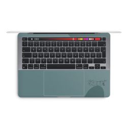 Foils for Laptops matt