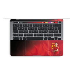 Foils for Laptops matt