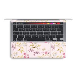 Foils for Laptops matt