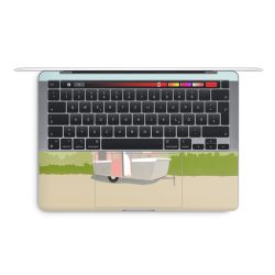 Foils for Laptops matt