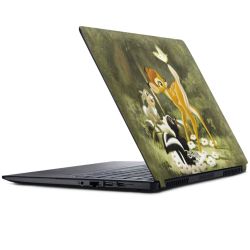 Foils for Laptops matt