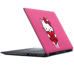 Folien für Laptops matt