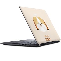 Foils for Laptops matt