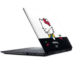 Folien für Laptops matt