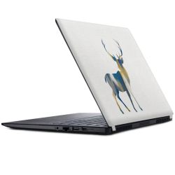 Foils for Laptops matt
