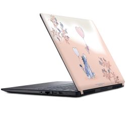 Foils for Laptops matt