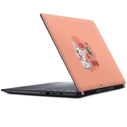 Foils for Laptops matt