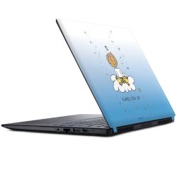 Folien für Laptops matt