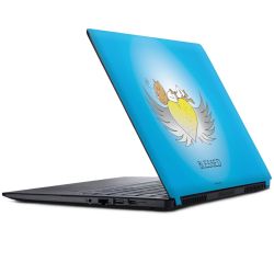 Folien für Laptops matt