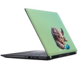 Foils for Laptops matt