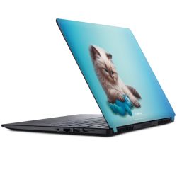 Foils for Laptops matt