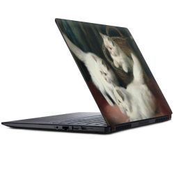 Foils for Laptops matt