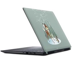 Foils for Laptops matt