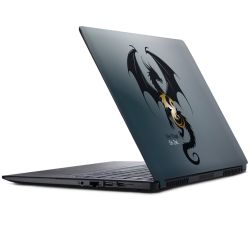 Foils for Laptops matt
