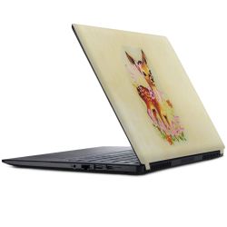 Foils for Laptops matt