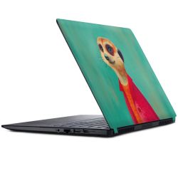 Foils for Laptops matt