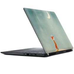 Foils for Laptops matt